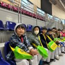 경희대무경태권도장 이미지