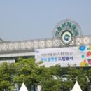 잡앤잡 | [캘리그라피 행사] 2016 삼성 드림樂서 잡앤잡 멘토링.