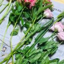 하대동386 이미지