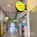 해광은갈치