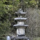 농암로(와룡면) Daum카페