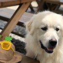 겟풀(GETPOOL) 이미지