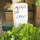 5월. 의외로 파릇파릇했던 봄 끄트머리
