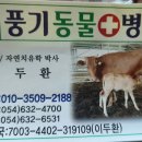 풍기동물병원 이미지