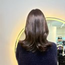 로이드안양점 | 로이드밤 안양호계점ㅣ커트 잘하는 호계동미용실