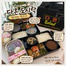 농업회사 다온건강 | 분당구 도시락 맛집 다온 | 샐러드까지 퀄리티 좋은 건강한 한끼 후기