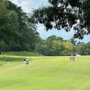 천지명인 이미지