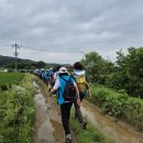 가을의 순례(신앙의 길 제13기)﻿봉사자교육(1차:2024.7.6) 참여 후기입니다 이미지