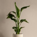 현대전문정비 이미지