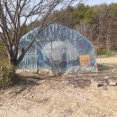 송파과수원