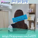 코지크