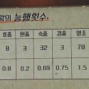 격쟁문서 네이버블로그