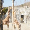 대전오월드 이미지