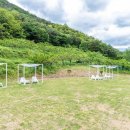 도화지오토캠핑장 이미지