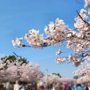 삼성여행사 - 부산진구 | 삼성여행사