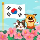 오션시티동물병원 이미지