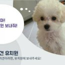 오늘도 신나개 이미지