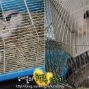 용범농장 이미지