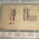 바우와우 하우스 이미지