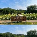 금강생태마당 이미지