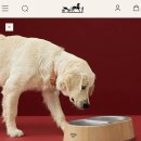 개밥그릇 이미지