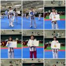 태권명가 태권도장 네이버블로그
