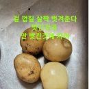 2024년&#34;햇감자 수확 5kg23.000(배송비 없음) 이미지