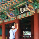 NR-6[경강로]-하-165 | 따사모 여행스케치 강릉 벚꽃 여행 편