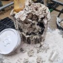 북부 수영장 이미지