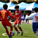 이리동초등학교 이미지