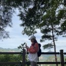 괴곡성벽길 | 제천자드락길 6코스 괴곡성벽길 옥순대교 조망