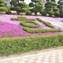 신한고등학교 이미지