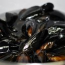 그포장마차 이미지