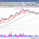 부광에코 이미지