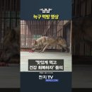 냠냠 - 강릉시 | 냠냠