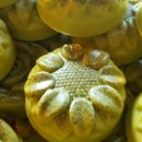 그레이스 힐링 이미지