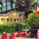 염창비디오 이미지