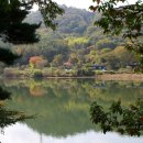 회동수원지 이미지