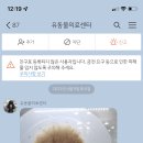 유동물의료센터 이미지