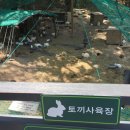 토끼사육장 인근(배봉산) 이미지