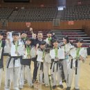 위풍당당 검무관 이미지