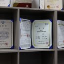 경희대 부부 태권도 이미지