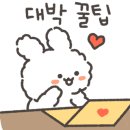 아리랑로 이미지