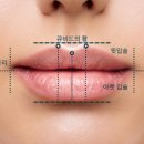 시즈의원 이미지