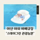 스테이 세인트21캠프 | 스테이그린 관광농원 바베큐앤 캠프" :: 독채 캐빈룸 6인 이용 후기 | 충남 여름휴가 여행지 추천 | 21...