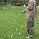 철새-1 | 가을 피크닉 가기 좋은 떠오르는 웨딩 촬영지 을숙도철새공원 주차, 피크닉 후기 [부산 을숙도철새공원]