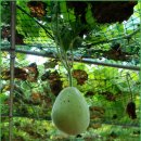 용추마을 이미지