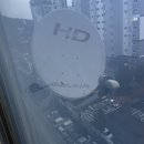 스카이라이프(skylife) 위성TV 안테나 철거 후기