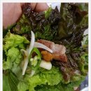 돈의보감 이미지