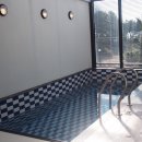 수영장펜션 이미지